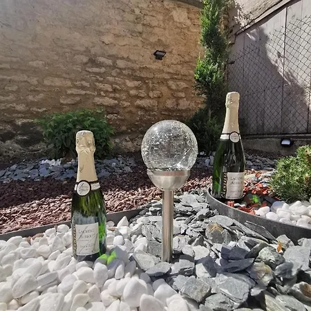 Appartement La Marmotte de la Cathédrale - Calme - Jardin à Troyes Extérieur photo
