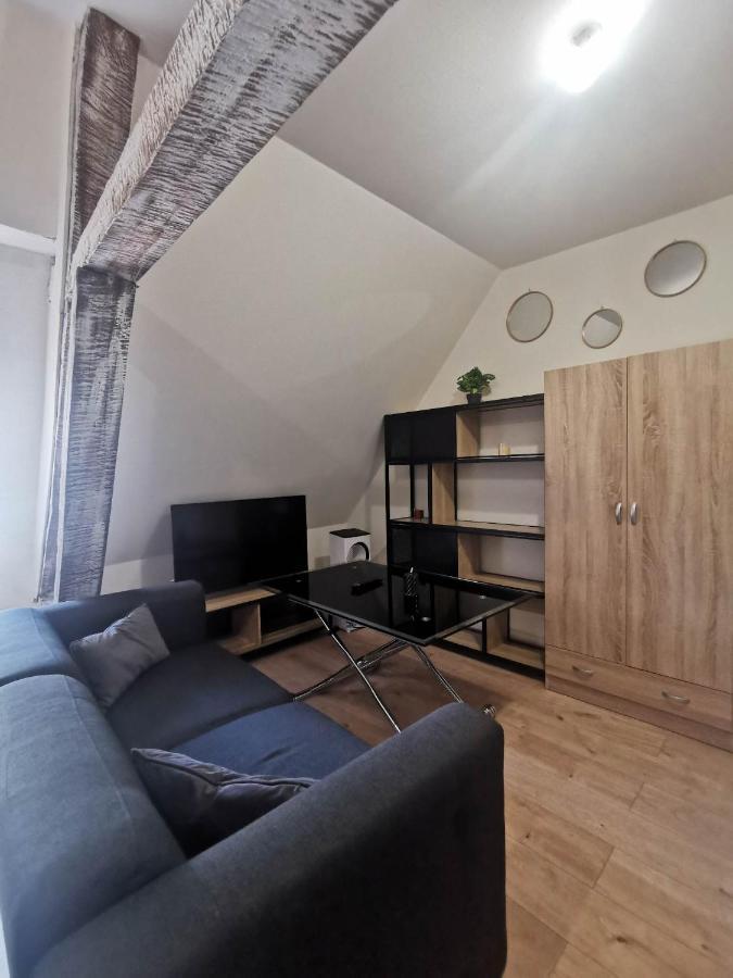 La Marmotte De La Cathédrale - Calme - Jardin Appartement Troyes